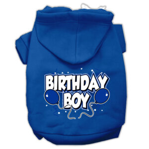 Birthday Boy Hoodie