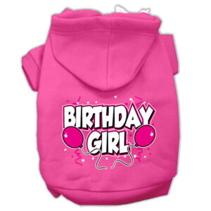 Birthday Girl Hoodie