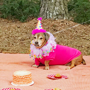 Birthday
